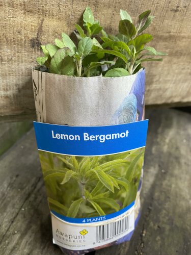 Lemon Bergamot